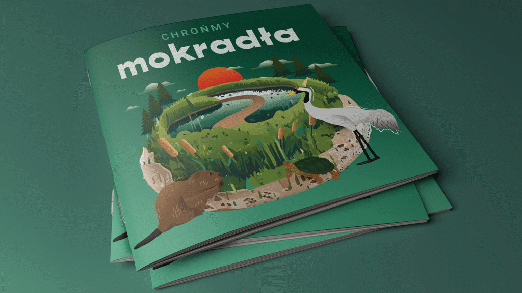 Okładka broszury „Chrońmy mokradła” z zieloną grafiką przedstawiającą las i zwierzęta.