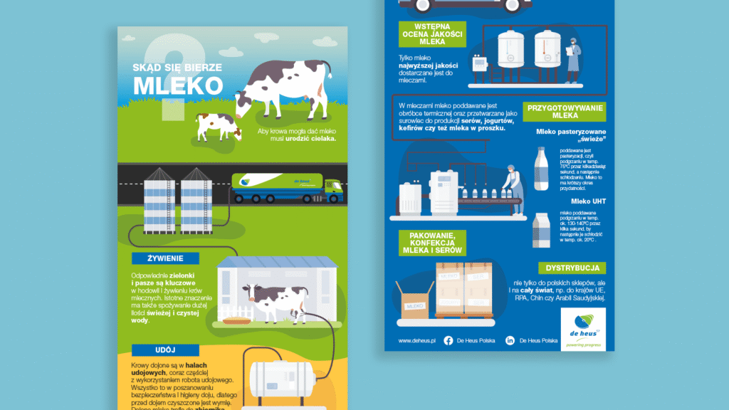 Infografiki tematyczne dla De Heus. Utrzymany w brandingu marki proces powstawania mleka.