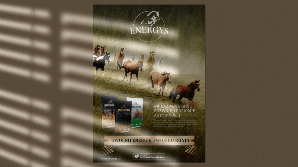 Plakat reklamowy marki Energys – konie galopujące na tle krajobrazu, prezentacja linii pasz dla koni.